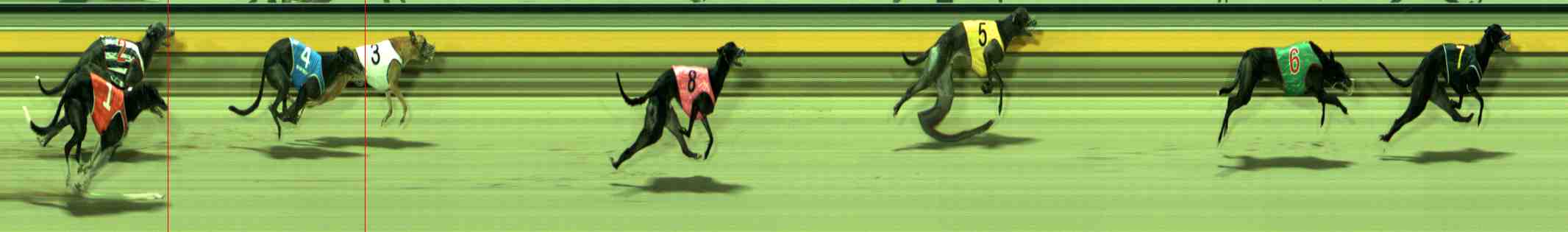 Photo finish for Sale Race 11
