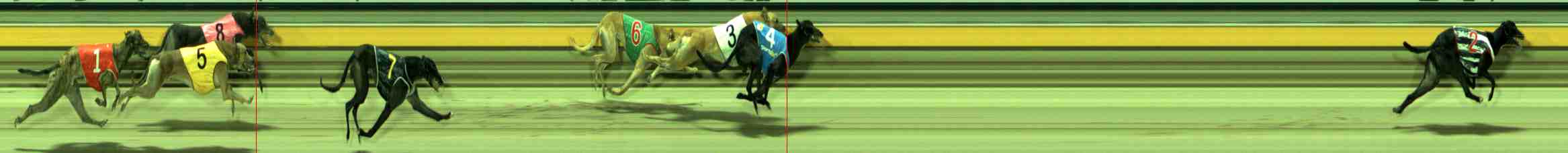 Photo finish for Sale Race 12
