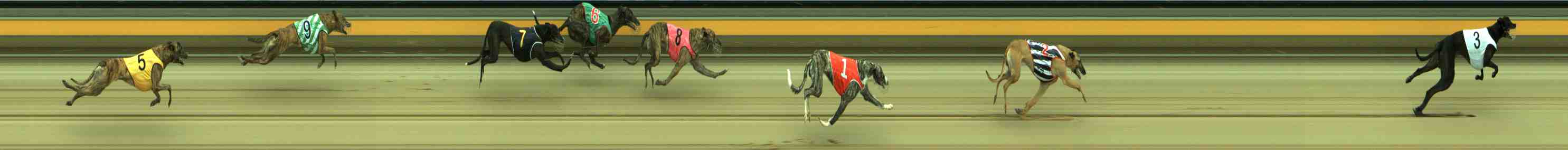 Photo finish for Sale Race 2