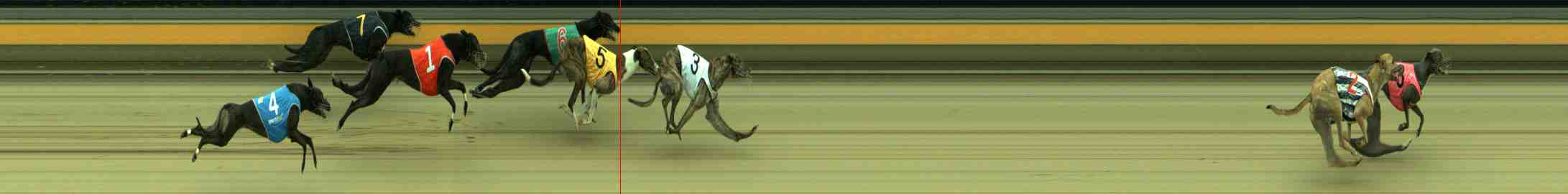 Photo finish for Sale Race 3
