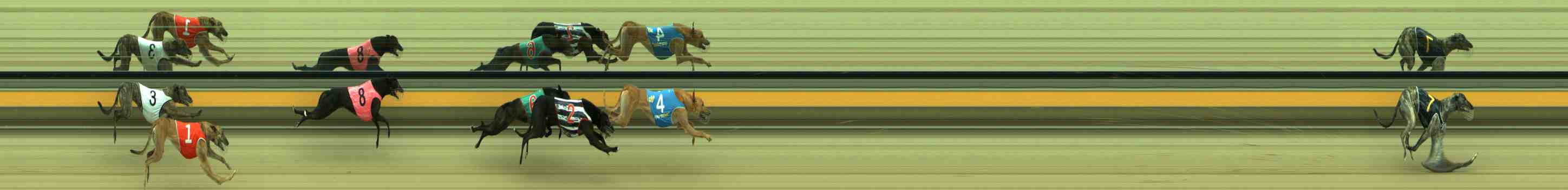 Photo finish for Sale Race 4