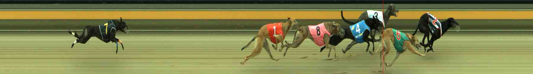 Photo finish for Sale Race 5