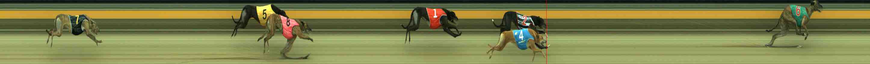 Photo finish for Sale Race 6