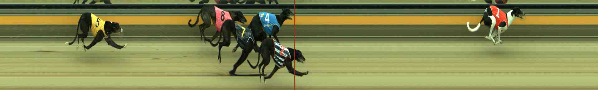 Photo finish for Sale Race 7