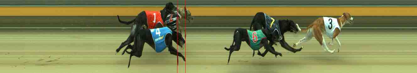 Photo finish for Sale Race 8