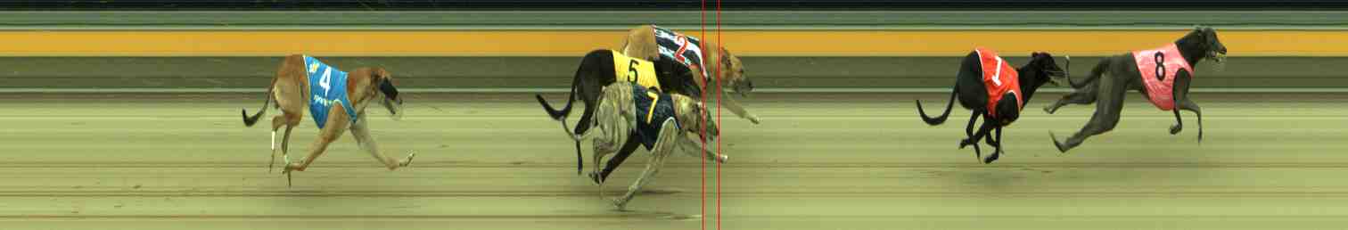 Photo finish for Sale Race 9