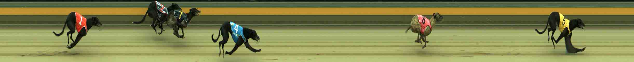 Photo finish for Sale Race 10