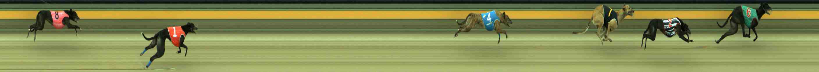 Photo finish for Sale Race 11