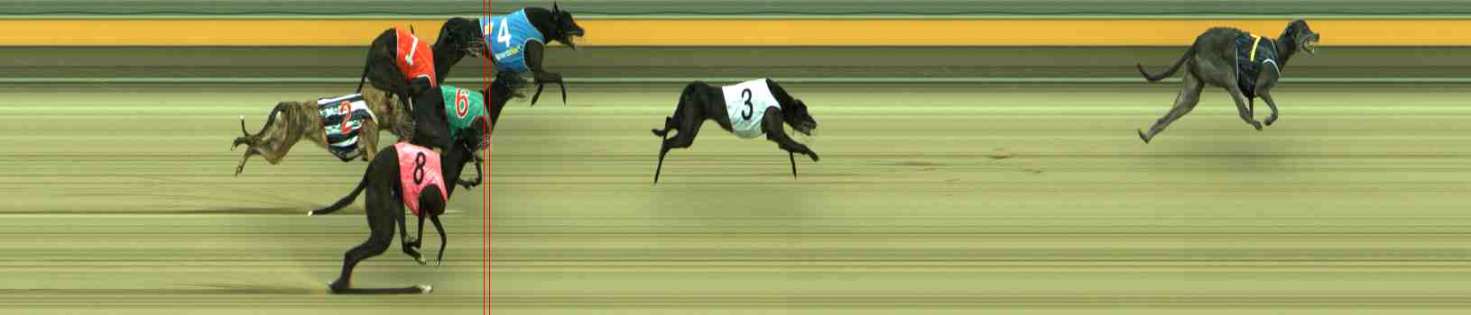 Photo finish for Sale Race 12