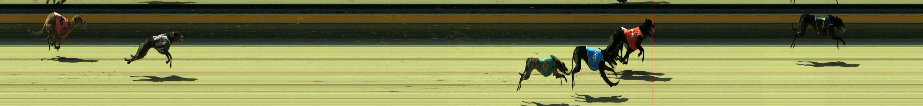 Photo finish for Sale Race 2