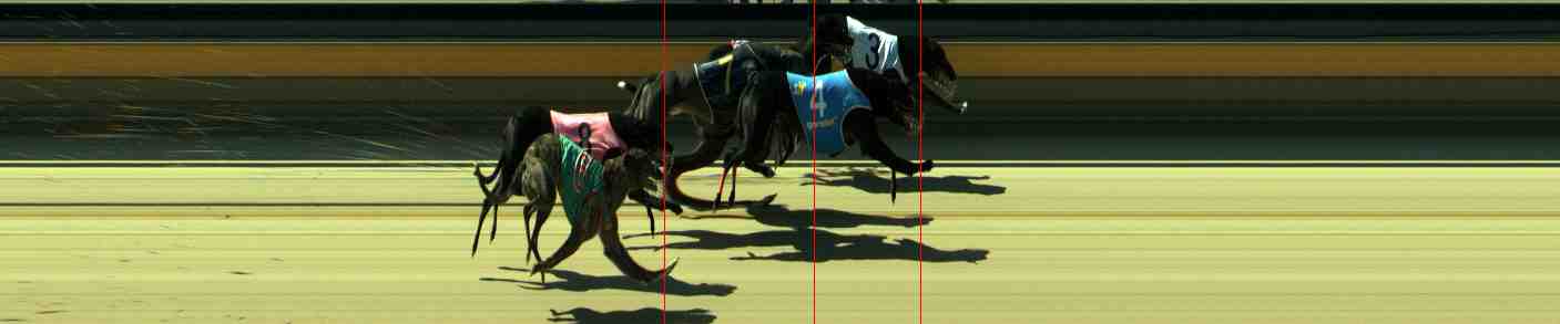 Photo finish for Sale Race 3