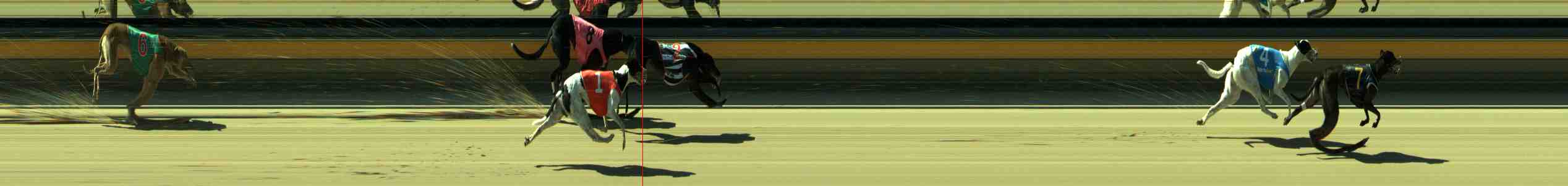 Photo finish for Sale Race 4