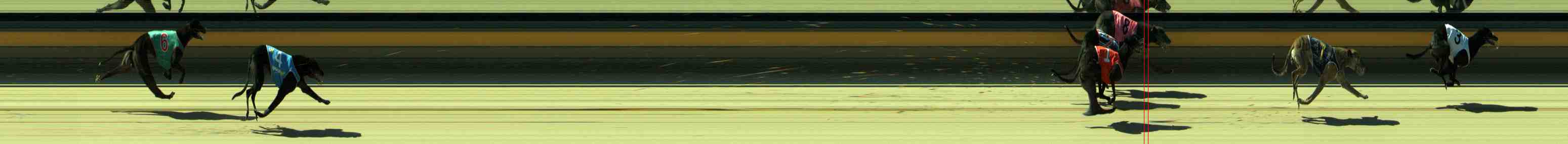 Photo finish for Sale Race 5
