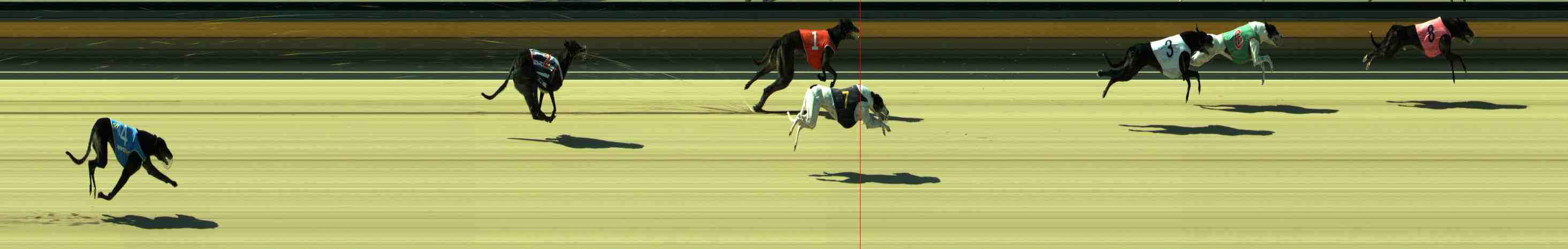 Photo finish for Sale Race 6
