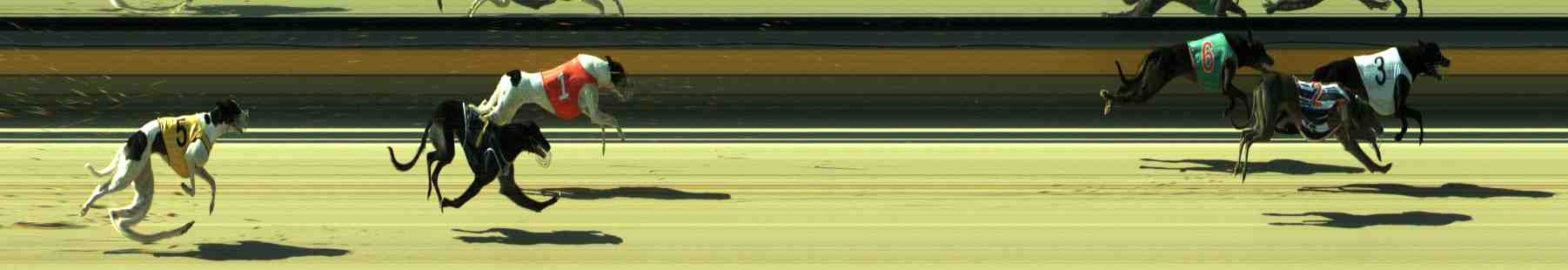 Photo finish for Sale Race 7