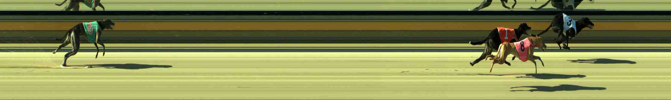 Photo finish for Sale Race 9