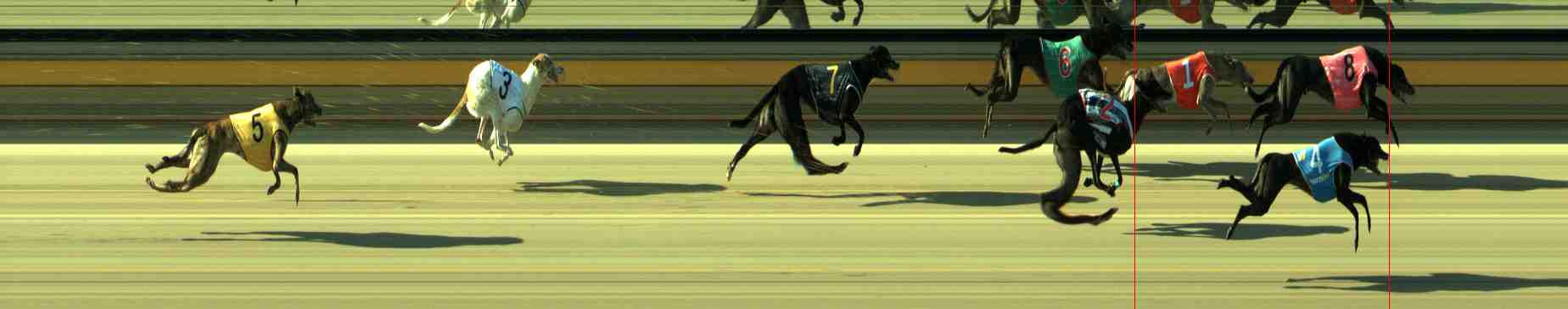 Photo finish for Sale Race 10