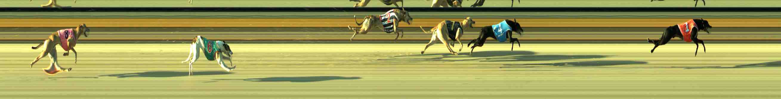 Photo finish for Sale Race 12
