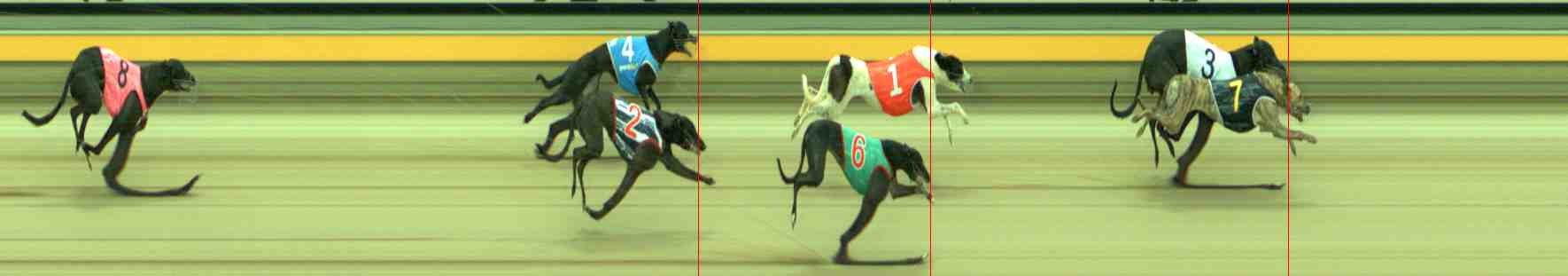 Photo finish for Sale Race 1