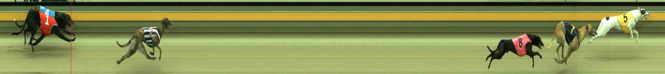 Photo finish for Sale Race 2