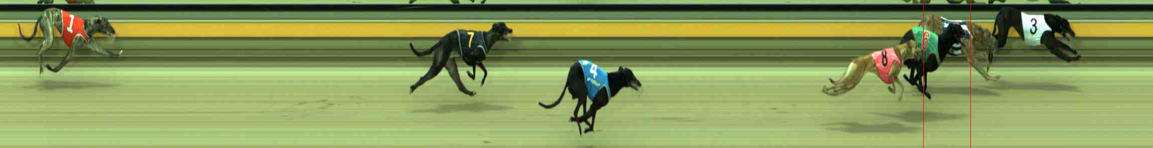 Photo finish for Sale Race 4