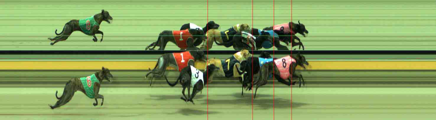 Photo finish for Sale Race 5