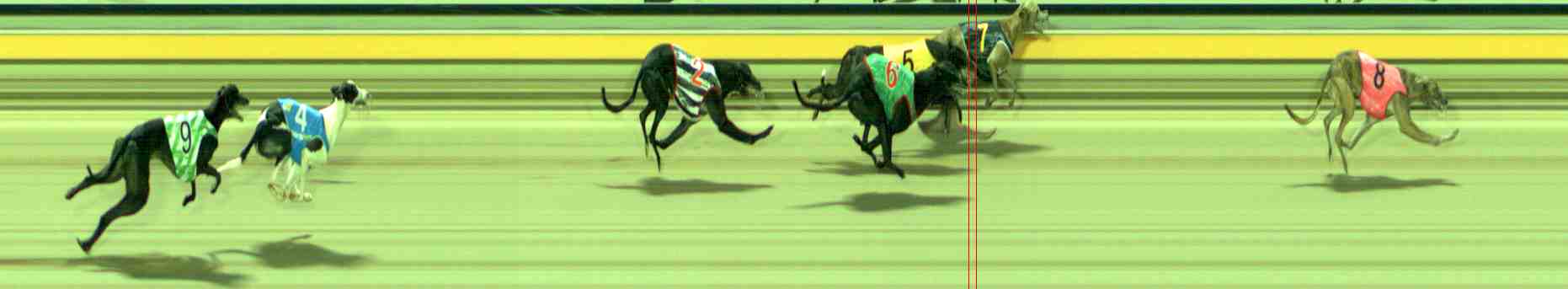 Photo finish for Sale Race 7
