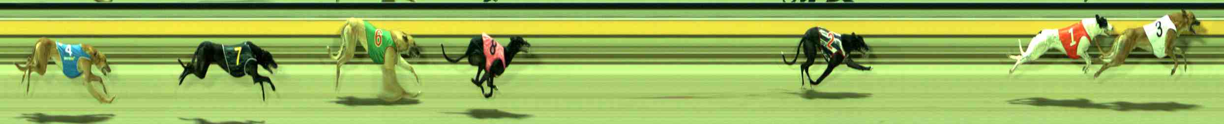 Photo finish for Sale Race 8