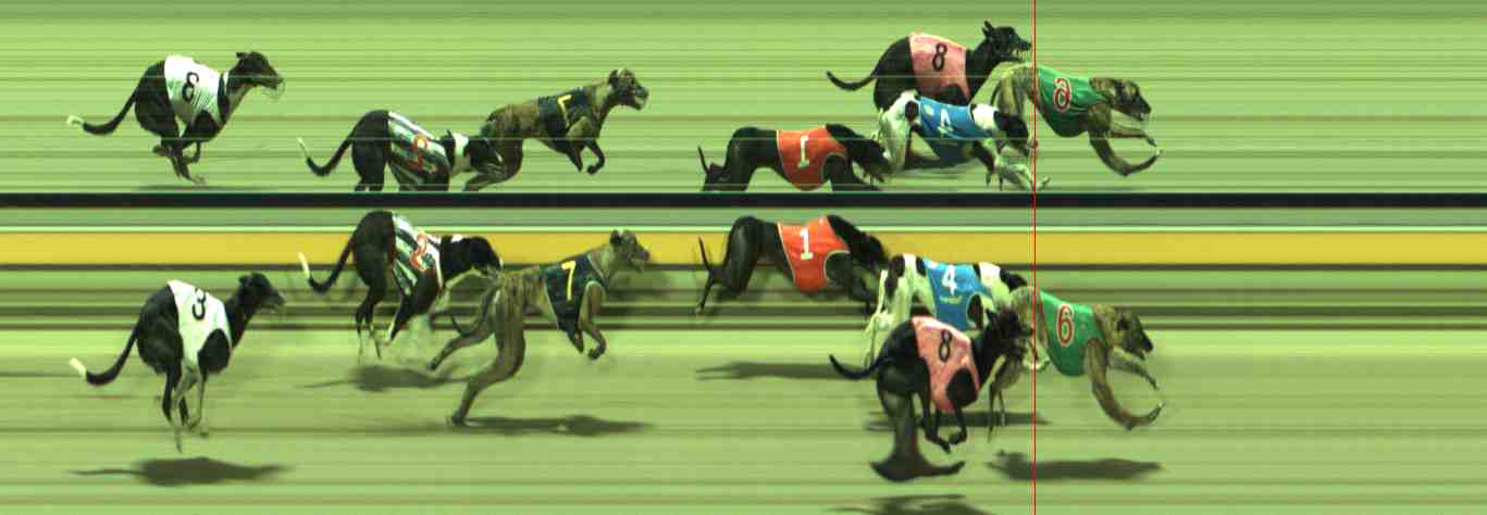 Photo finish for Sale Race 9