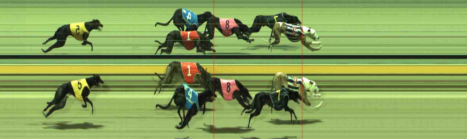 Photo finish for Sale Race 10