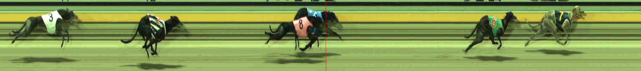 Photo finish for Sale Race 11