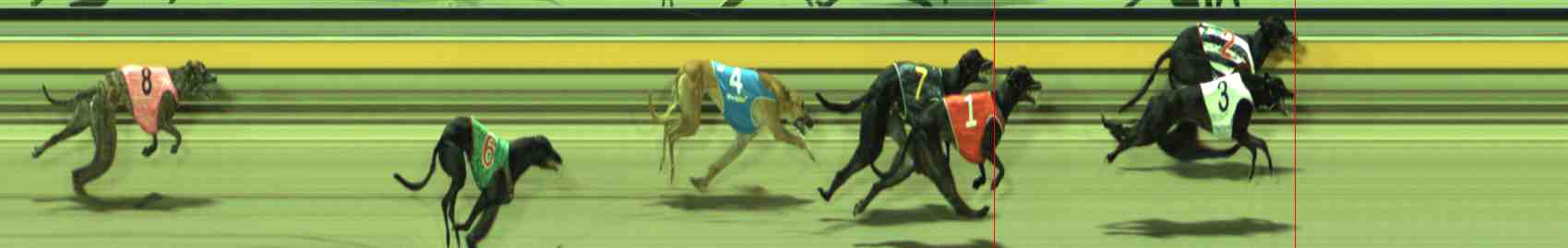 Photo finish for Sale Race 12