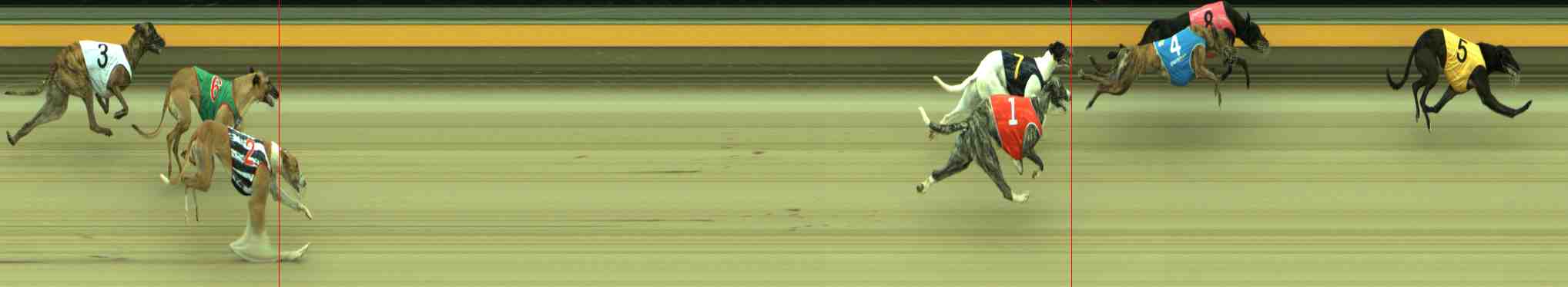 Photo finish for Sale Race 1