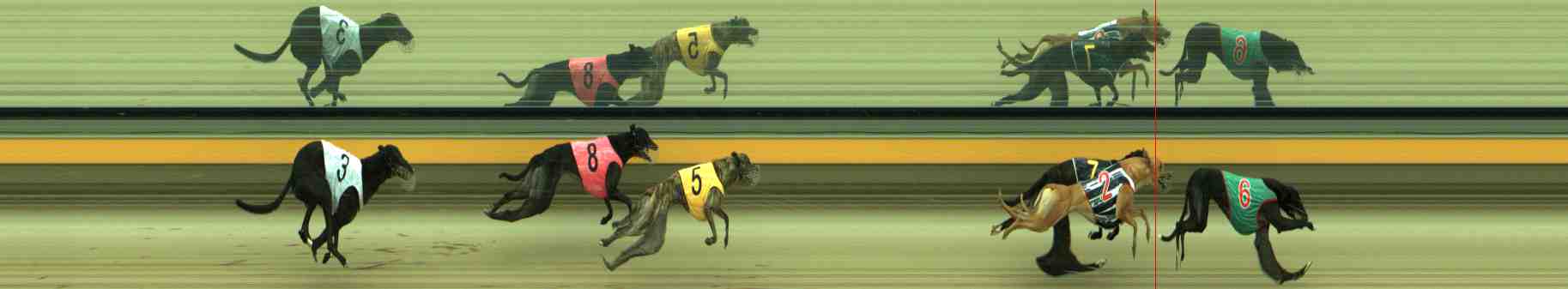 Photo finish for Sale Race 2
