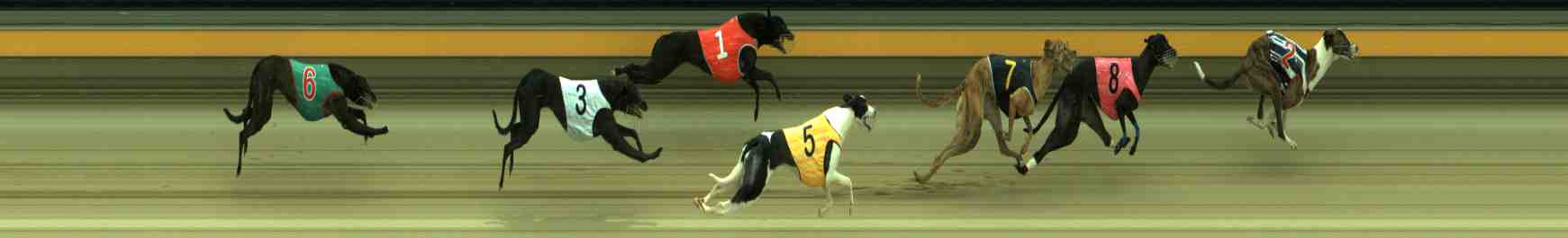 Photo finish for Sale Race 3
