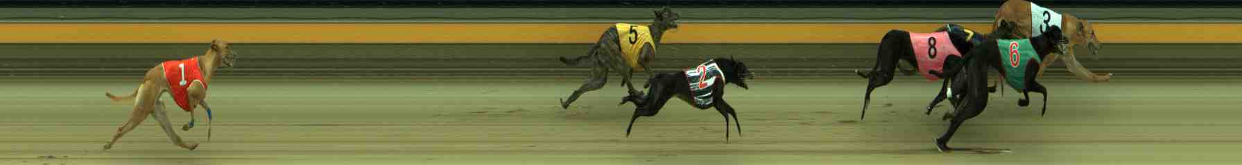 Photo finish for Sale Race 4