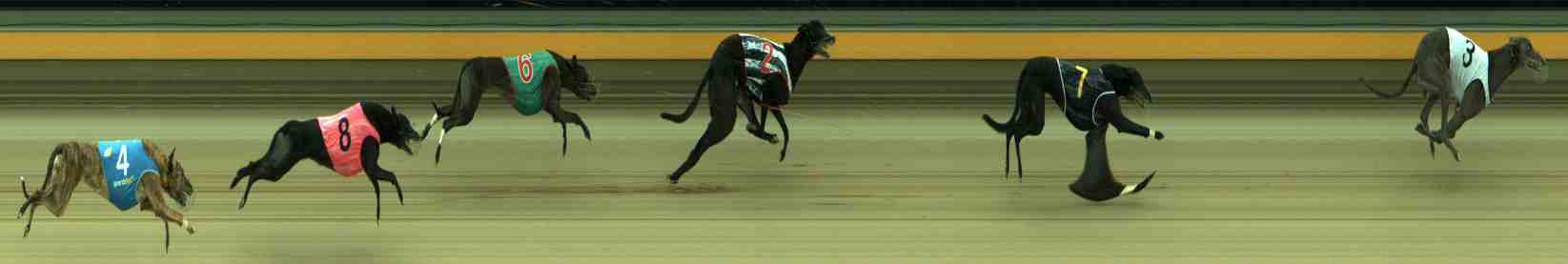 Photo finish for Sale Race 5