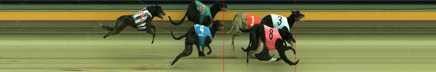 Photo finish for Sale Race 6