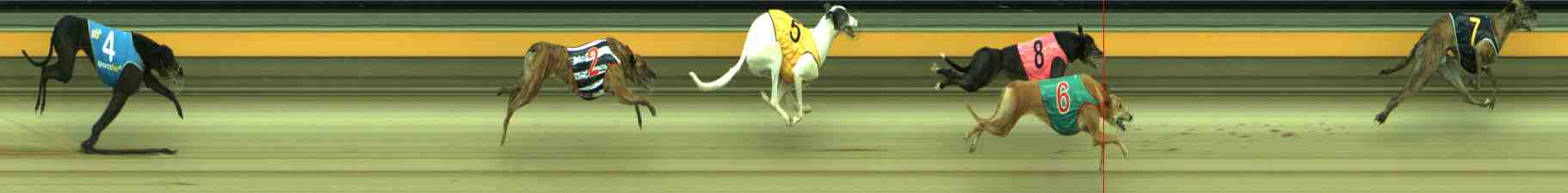 Photo finish for Sale Race 8