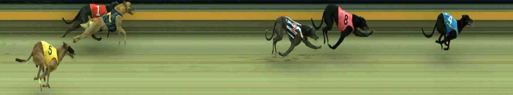 Photo finish for Sale Race 9