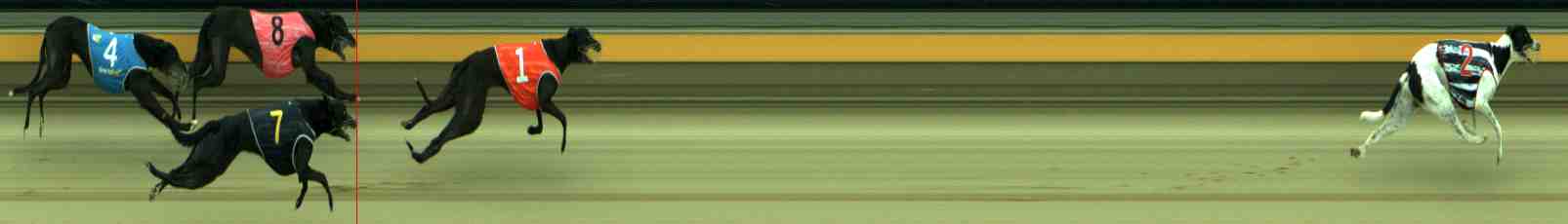 Photo finish for Sale Race 10
