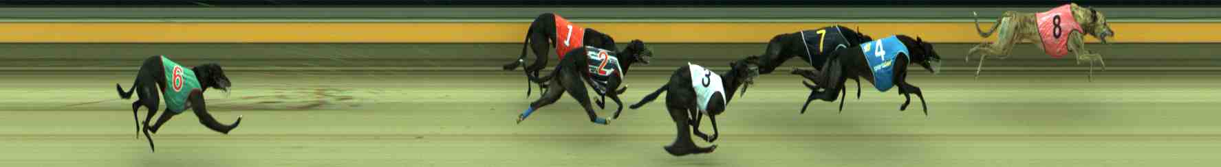 Photo finish for Sale Race 11