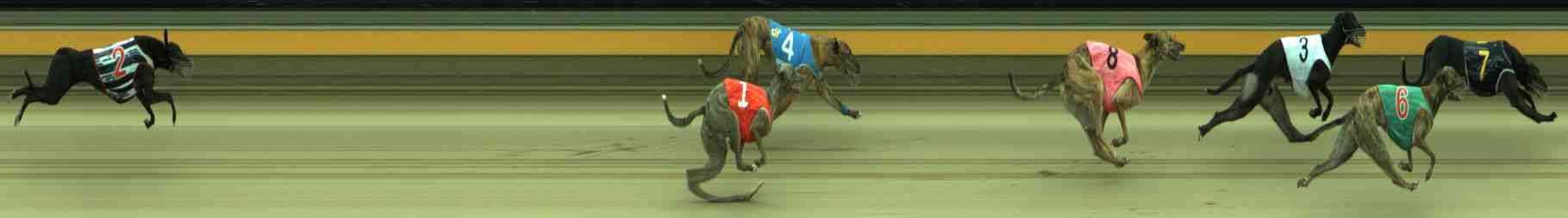 Photo finish for Sale Race 12