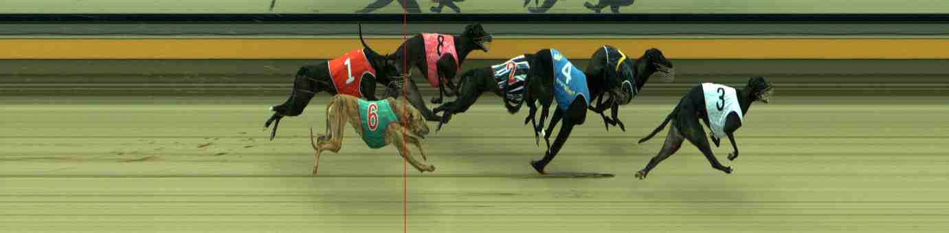 Photo finish for Sale Race 1