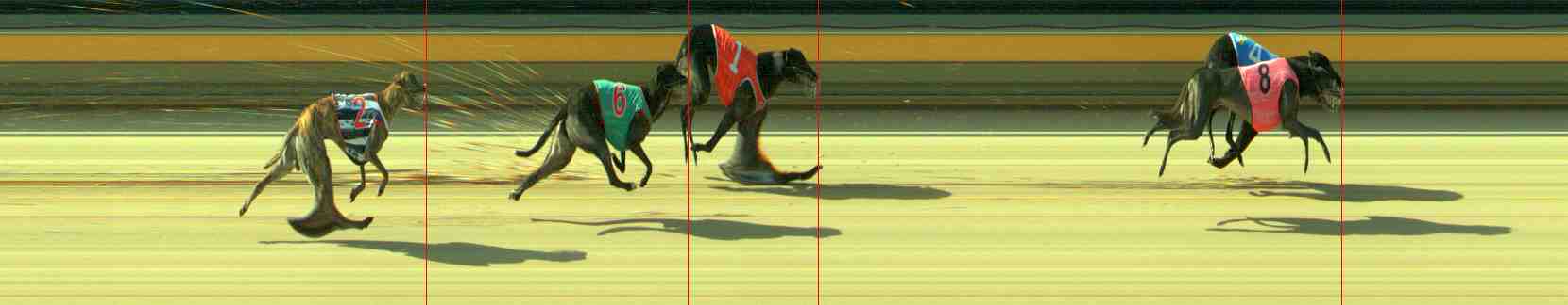 Photo finish for Sale Race 10