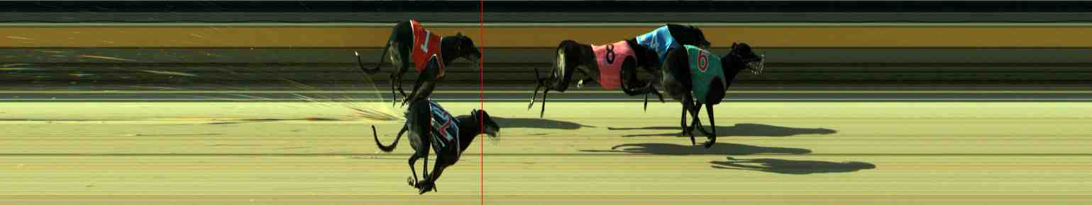 Photo finish for Sale Race 11
