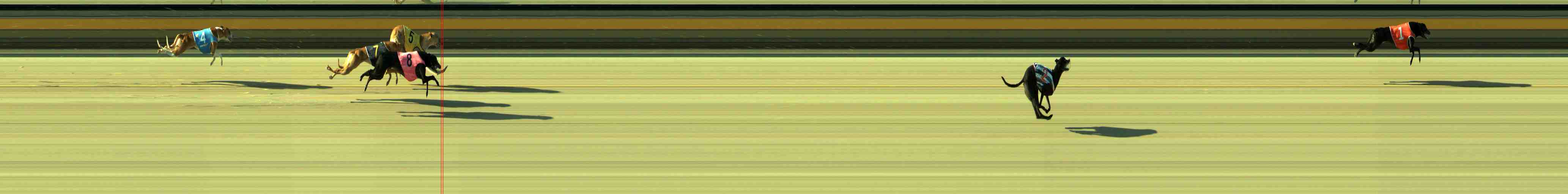 Photo finish for Sale Race 12