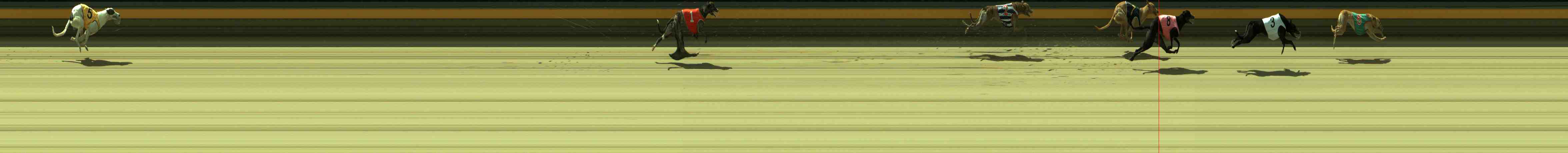 Photo finish for Sale Race 2