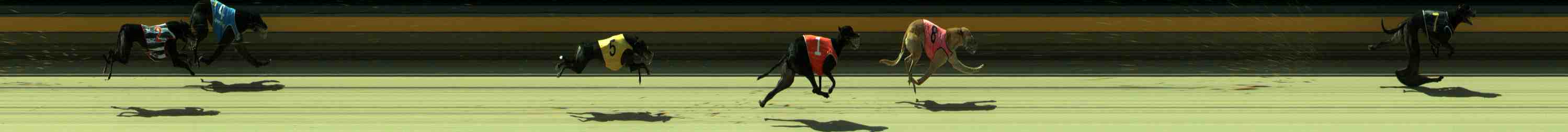 Photo finish for Sale Race 3