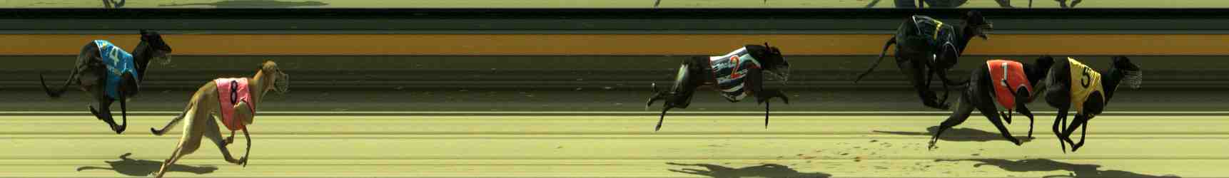 Photo finish for Sale Race 4